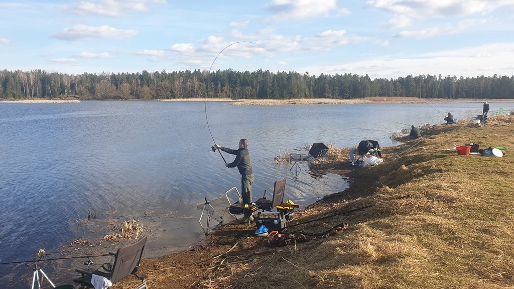 На берегу водохранилище в ноябре На берегу водохранилище в ноябре